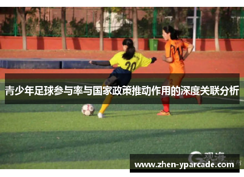 青少年足球参与率与国家政策推动作用的深度关联分析